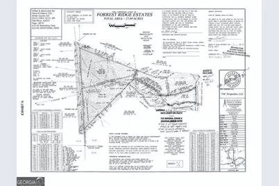 0 Partin Road LOT #1, Cleveland, GA 30528 - Photo 1