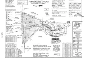 0 Partin Rd, Cleveland, GA 30528 - Photo 1