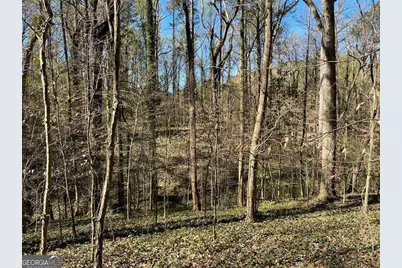 2455 Dodson Drive, Atlanta, GA 30344 - Photo 5