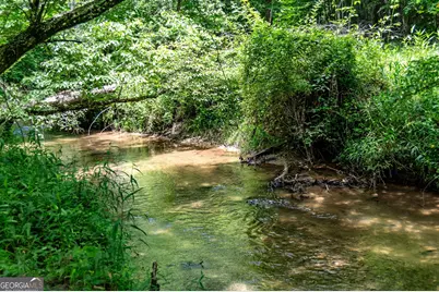 215 Twin Creeks Road, Blue Ridge, GA 30513 - Photo 69