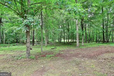 270 Carrolls Way, Fayetteville, GA 30215 - Photo 55