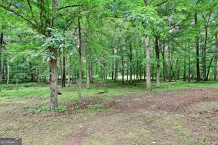 270 Carrolls Way, Fayetteville, GA 30215 - Photo 55