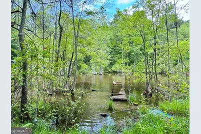 193 Griswoldville Shortcut, Macon, GA 31217 - Photo 5
