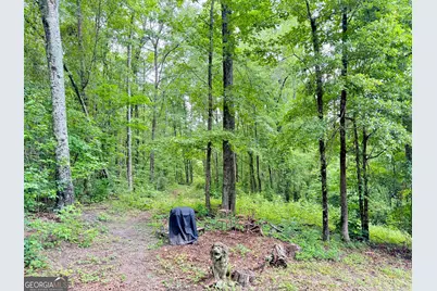 193 Griswoldville Shortcut, Macon, GA 31217 - Photo 17