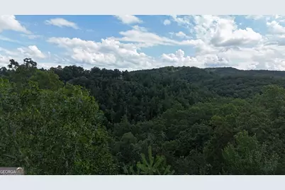 793 Woodbine Lane, Ranger, GA 30734 - Photo 3