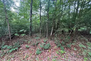 793 Woodbine Ln, Ranger, GA 30734 - Photo 1