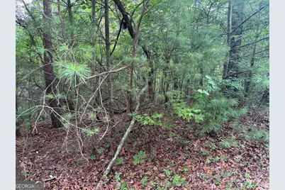 793 Woodbine Lane, Ranger, GA 30734 - Photo 7