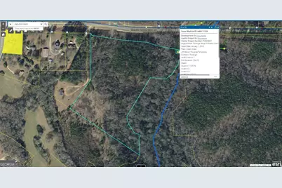 0 Hampton Locust Grove Road, Hampton, GA 30228 - Photo 7