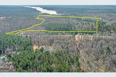 0 Hampton Locust Grove Road, Hampton, GA 30228 - Photo 3