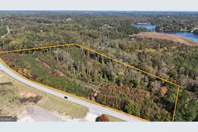 0 Hwy 100, Bowdon, GA 30108 - Photo 1
