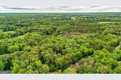 0 Trisha Lane, Grantville, GA 30220 - Photo 7