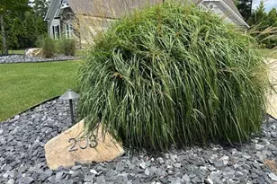 203 N Cove Dr, Newnan, GA 30263 - Photo 3