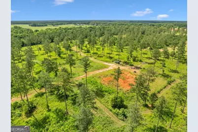 335 Highway 26, Elko, GA 31025 - Photo 23