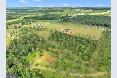 335 Highway 26, Elko, GA 31025 - Photo 37