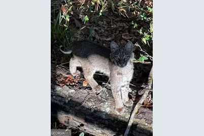 335 Highway 26, Elko, GA 31025 - Photo 13