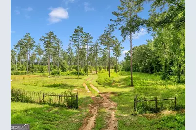 335 Highway 26, Elko, GA 31025 - Photo 35