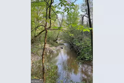 335 Highway 26, Elko, GA 31025 - Photo 7