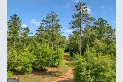 335 Highway 26, Elko, GA 31025 - Photo 43