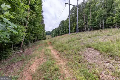 26.18 Ac Green Road, Young Harris, GA 30582 - Photo 17