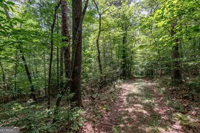 26.18 Ac Green Road, Young Harris, GA 30582 - Photo 15