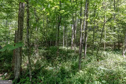 26.18 Ac Green Road, Young Harris, GA 30582 - Photo 5