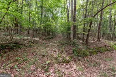 26.18 Ac Green Road, Young Harris, GA 30582 - Photo 19