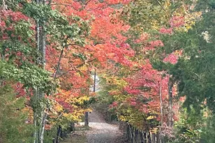 558 Tipton Springs Rd, Morganton, GA 30560 - Photo 67