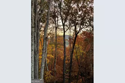 558 Tipton Springs Road, Morganton, GA 30560 - Photo 3