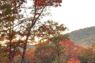 558 Tipton Springs Rd, Morganton, GA 30560 - Photo 65