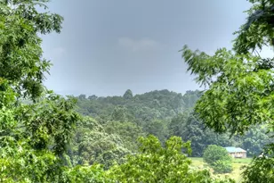 558 Tipton Springs Rd, Morganton, GA 30560 - Photo 59