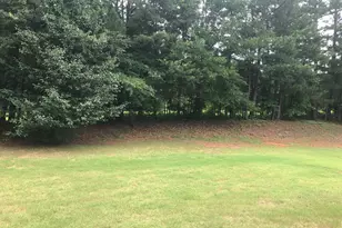 1433 Cotton Tr SW, Conyers, GA 30094 - Photo 31