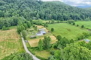 595 Jim McCrackin Rd, Clayton, GA 30525 - Photo 59