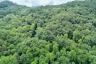 595 Jim McCrackin Rd, Clayton, GA 30525 - Photo 67