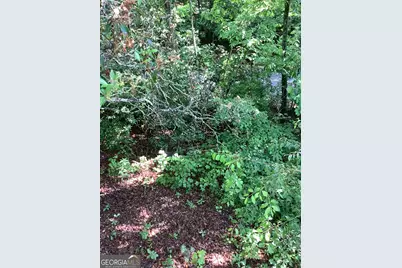 61 Candy Land Drive, Cleveland, GA 30528 - Photo 5