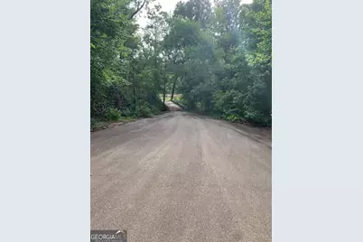 0 Rock Springs Road, Dublin, GA 31021 - Photo 9