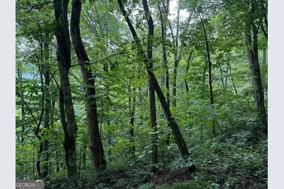 8 Black Bear Trail, Hiawassee, GA 30546 - Photo 15