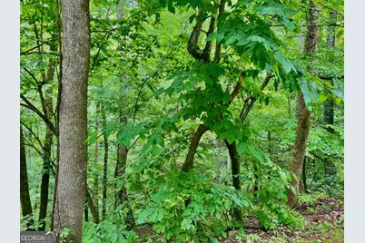 8 Black Bear Trail, Hiawassee, GA 30546 - Photo 7