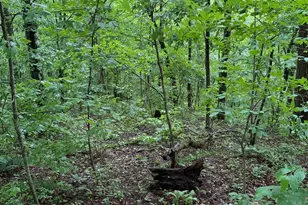 8 Black Bear Trl, Hiawassee, GA 30546 - Photo 1