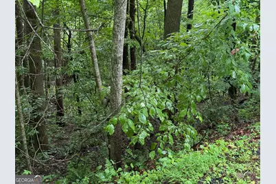 8 Black Bear Trail, Hiawassee, GA 30546 - Photo 5