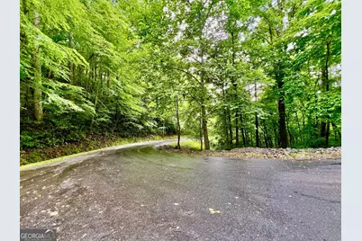 8 Black Bear Trail, Hiawassee, GA 30546 - Photo 9