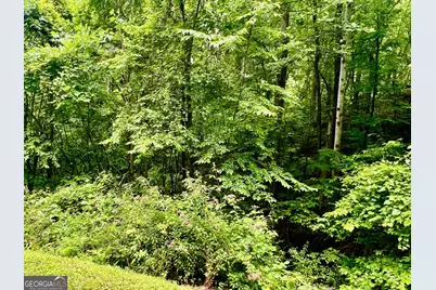 8 Black Bear Trail, Hiawassee, GA 30546 - Photo 11