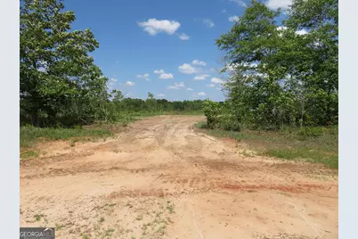 2 Goolsby Road, Ellaville, GA 31806 - Photo 7