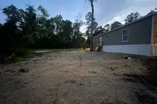 160 E Willow Creek, McRae-Helena, GA 31055 - Photo 3