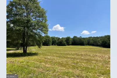 0 Wildcat Bridge Road, Royston, GA 30662 - Photo 41