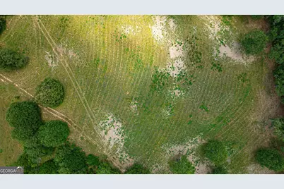 0 Wildcat Bridge Road, Royston, GA 30662 - Photo 37