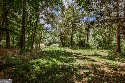 0 Wildcat Bridge Road, Royston, GA 30662 - Photo 21