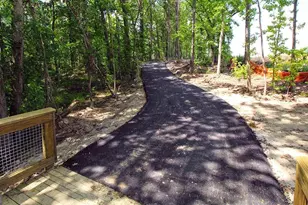 560 Silver Moon Dr, Loganville, GA 30052 - Photo 59