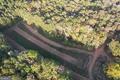 4009 Jersey Covington Road, Covington, GA 30014 - Photo 9