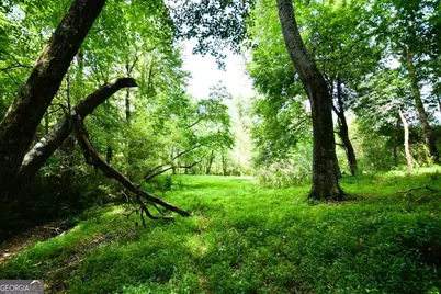 400 Kelley Road, Tallapoosa, GA 30176 - Photo 45