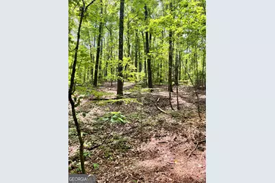 353 Retreat Trail, Lagrange, GA 30240 - Photo 3